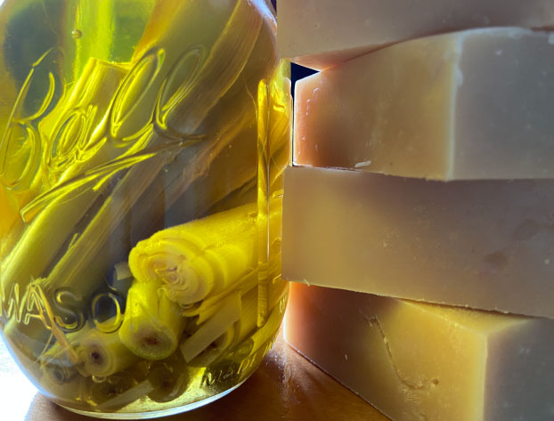 Lemongrass Tea soap | Handmade, Scented with Essential oils.
